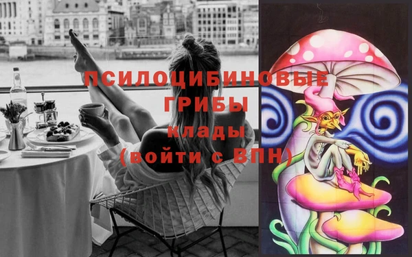 Альфа ПВП Армянск
