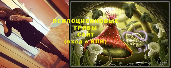 Альфа ПВП Армянск