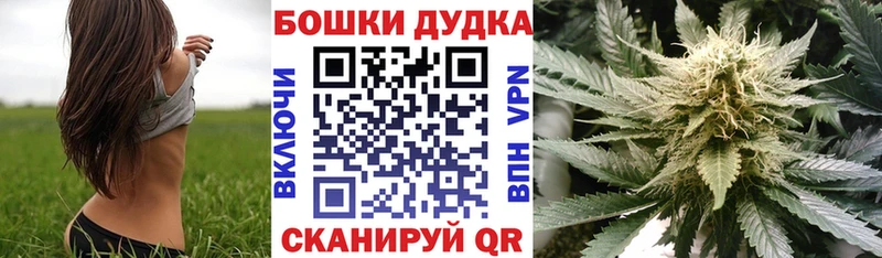 купить наркотик  блэк спрут онион  Каннабис White Widow  Мценск 